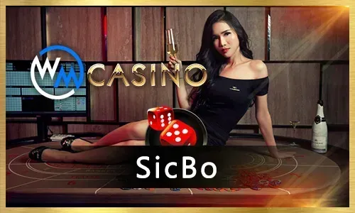 Cockfighting Betting PHJOY